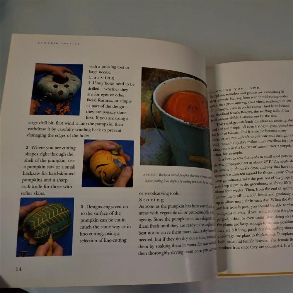 Pumpkin Carving Book How to Create Glowing Autumn Gourds 1996 Hardcover
